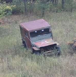 Meet your Posher, Codie